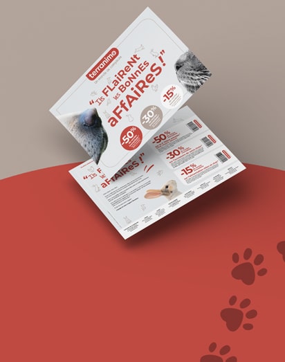 Réalisation Wondercrush - Flyer pour Terranimo, animalerie en ligne pour chiens et chats